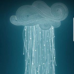 Meet your Posher, Rosemary